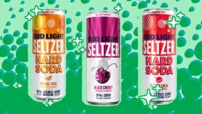 Best Bud Light Hard Seltzer Flavors