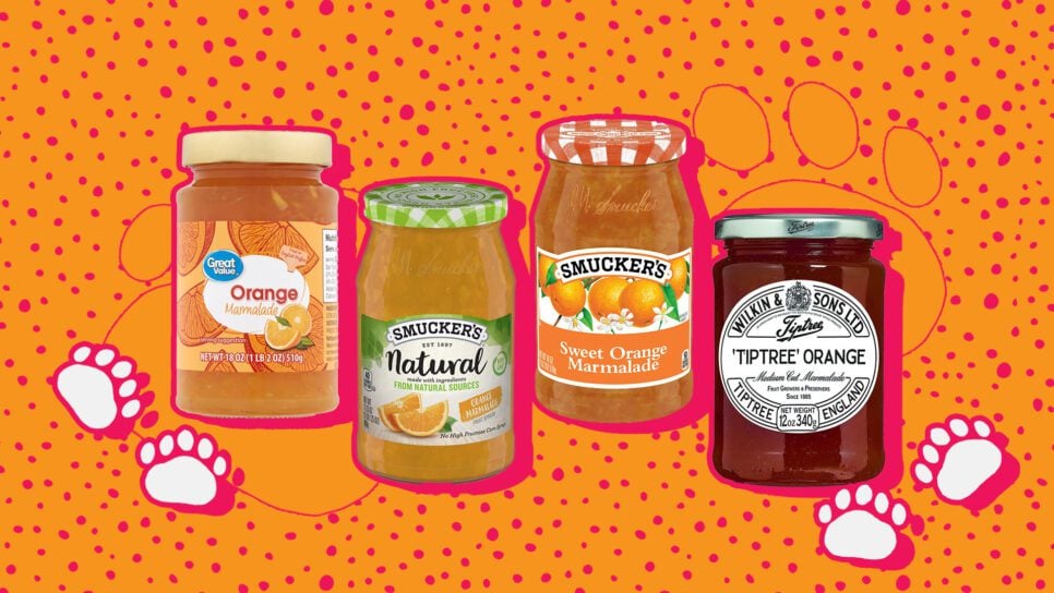 best orange marmalade