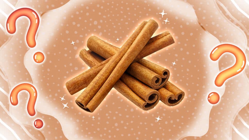 cinnamon sticks