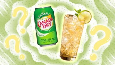 ginger ale vs ginger beer