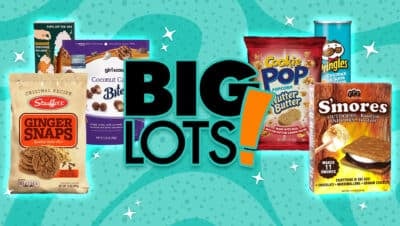 big lots snacks big lots haul